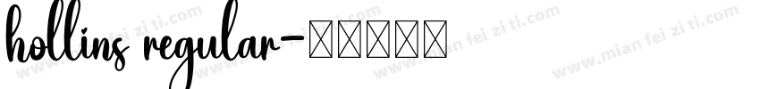 hollins regular字体转换